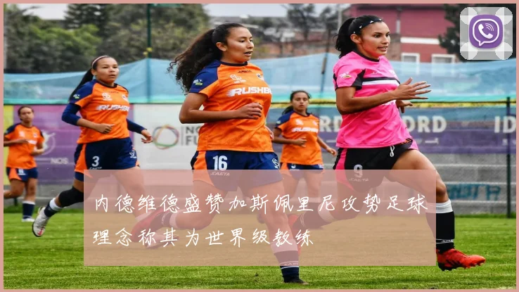 内德维德盛赞加斯佩里尼攻势足球理念称其为世界级教练