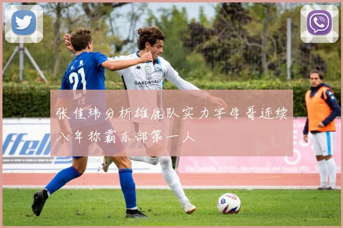 张佳玮分析雄鹿队实力字母哥连续八年称霸东部第一人