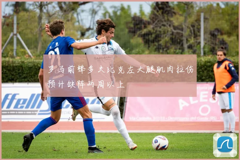 罗马前锋多夫比克左大腿肌肉拉伤预计缺阵两周以上