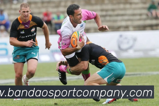 半岛足球体育平台生态图