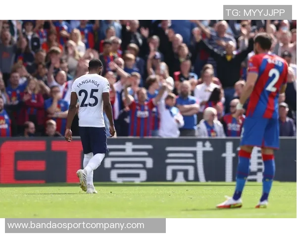 加拉格尔完成热刺体检正式签约预计首战对阵西汉姆亮相