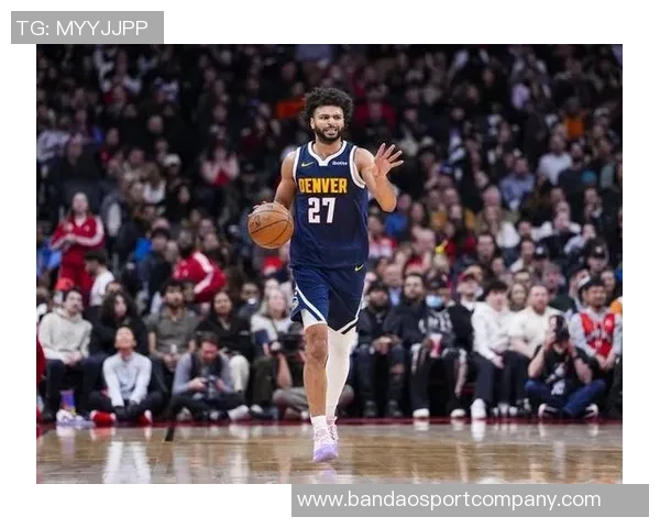 阿德尔曼透露穆雷因病缺席脚踝问题持续困扰球队